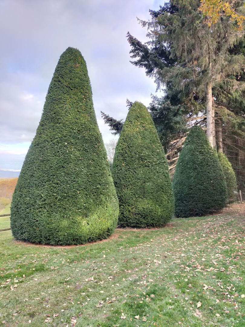 MULTISERVICE ET JARDINAGE FLORINOIS — Photos 2